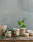 Desert Planter by Leaf & Thread - THE PLANT SOCIETY