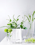 Aalto Vase 9.5cm by Alvar Aalto - THE PLANT SOCIETY ONLINE OUTPOST