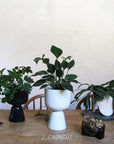 Nappula Planter 23cm by Matti Klenell - THE PLANT SOCIETY