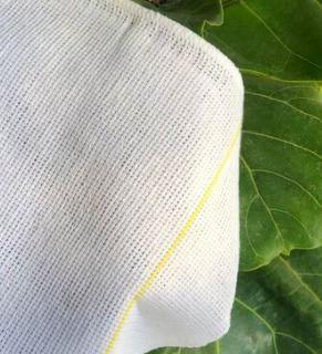 The Plant Society - Foliage cloth