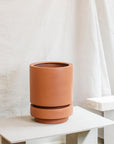 Low Pier Planter by The Plant Society x Capra Designs- Totem Collection - - THE PLANT SOCIETY