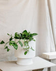 Low Tower Planter by The Plant Society x Capra Designs- Totem Collection - - THE PLANT SOCIETY
