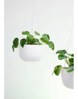 Raw Earth Hanging Planters by Angus & Celeste - THE PLANT SOCIETY