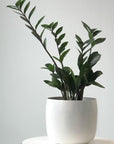 Spun Planter in White by Lightly Design