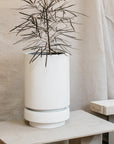 Tall Pier Planter white by The Plant Society