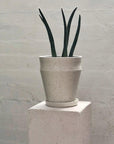 White Satin Ridge Planters by Alison Frith - THE PLANT SOCIETY