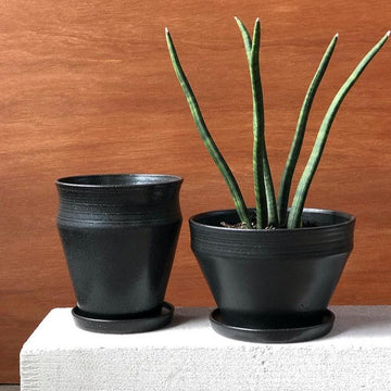 Black Onyx Ridge Planter Alison Frith handmade ceramics sansevieria cylindrica snake plant