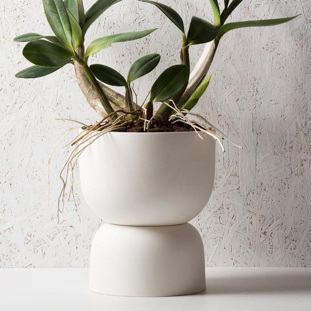 Raw Earth Plant Stand Pot by Angus &amp; Celeste - THE PLANT SOCIETY