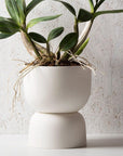 Raw Earth Plant Stand Pot by Angus & Celeste - THE PLANT SOCIETY