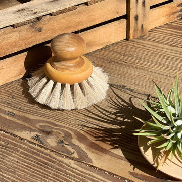 Dish Brush Round With Knob by Iris Hantverk - THE PLANT SOCIETY ONLINE OUTPOST