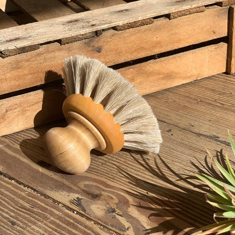 Dish Brush Round With Knob by Iris Hantverk - THE PLANT SOCIETY ONLINE OUTPOST
