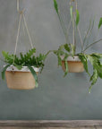 Desert Brass Hanging Planter by Leaf & Thread