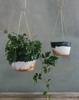 Landscape Brass Hanging Planter by Leaf & Thread
