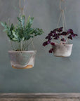 Moss Green Brass Hanging Planter by Leaf & Thread