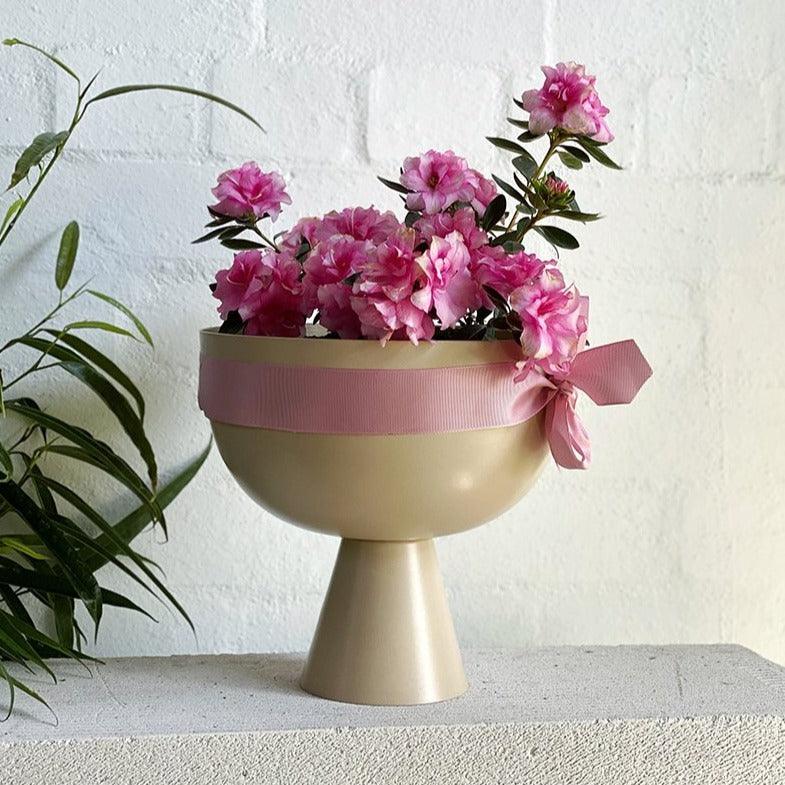 Large Vera Planter by Lightly - THE PLANT SOCIETY