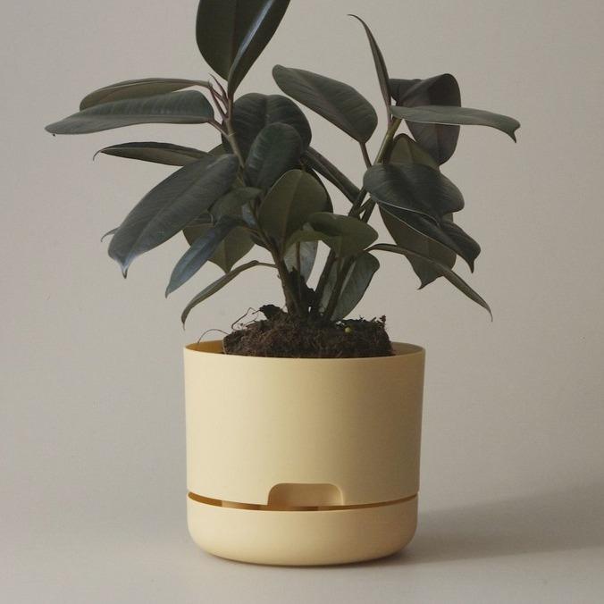 Self Watering Planter 170mm by Mr Kitly - THE PLANT SOCIETY ONLINE OUTPOST