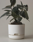 Self Watering Planter 375mm by Mr Kitly - THE PLANT SOCIETY ONLINE OUTPOST