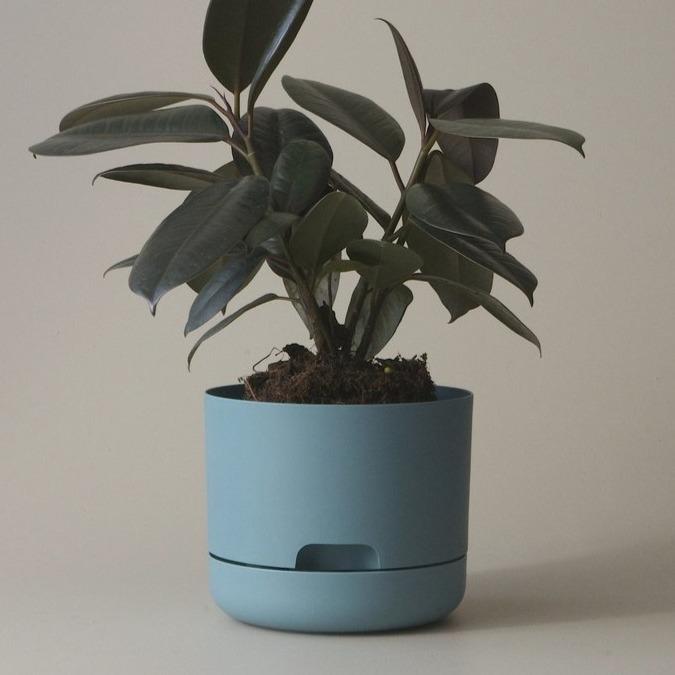 Self Watering Planter 170mm by Mr Kitly - THE PLANT SOCIETY ONLINE OUTPOST