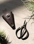 Scissors in Leather Pouch - THE PLANT SOCIETY