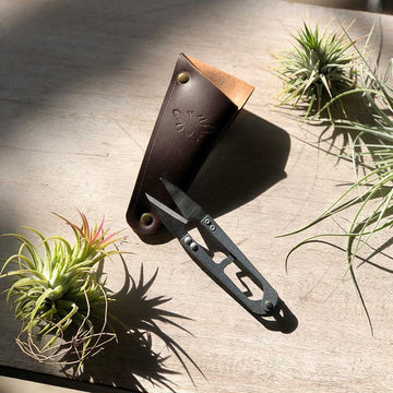 Snips in Leather Pouch with Tillandsia
