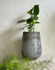 Tear Drop Planter - THE PLANT SOCIETY ONLINE OUTPOST