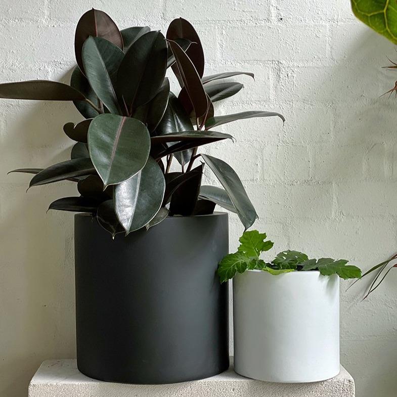 Tub Planter - THE PLANT SOCIETY ONLINE OUTPOST