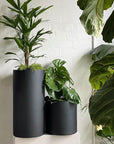 Tall Tub Planter - THE PLANT SOCIETY ONLINE OUTPOST