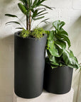 Tall Tub Planter - THE PLANT SOCIETY ONLINE OUTPOST