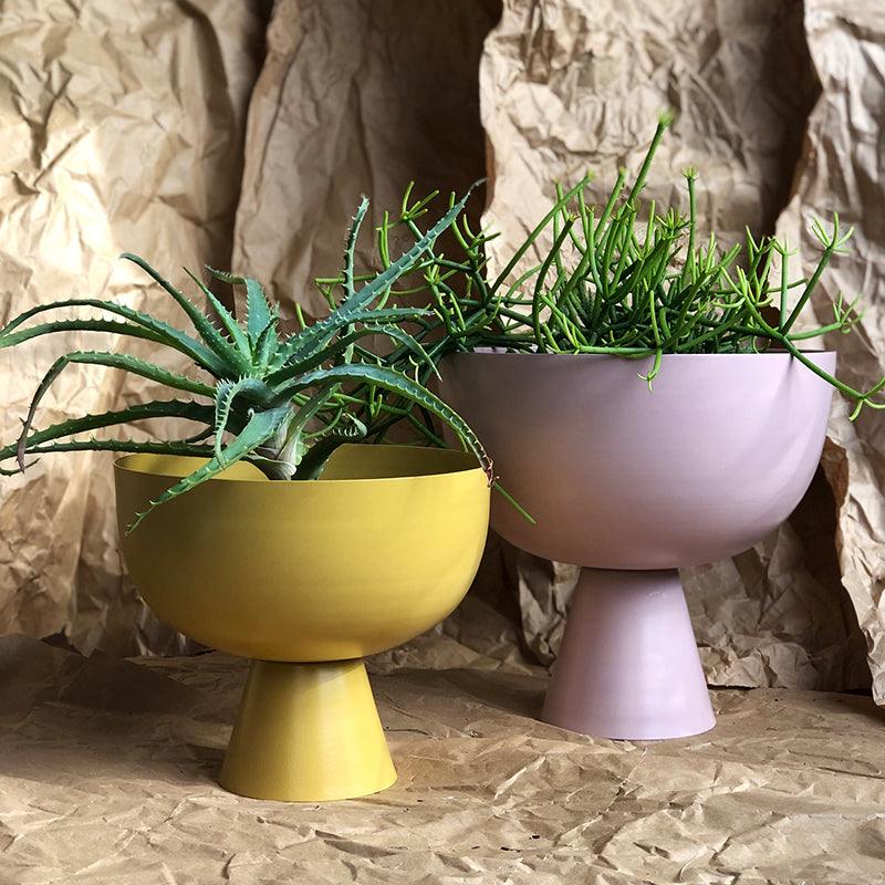 Small Vera Planter in Tumeric and Large Vera Planter in Orchid by Lightly Design
