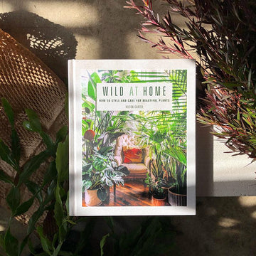 Wild at Home by Hilton Carter - THE PLANT SOCIETY