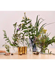 Alvar Aalto Vases Iitalla Scandinavian design homewares flowers 