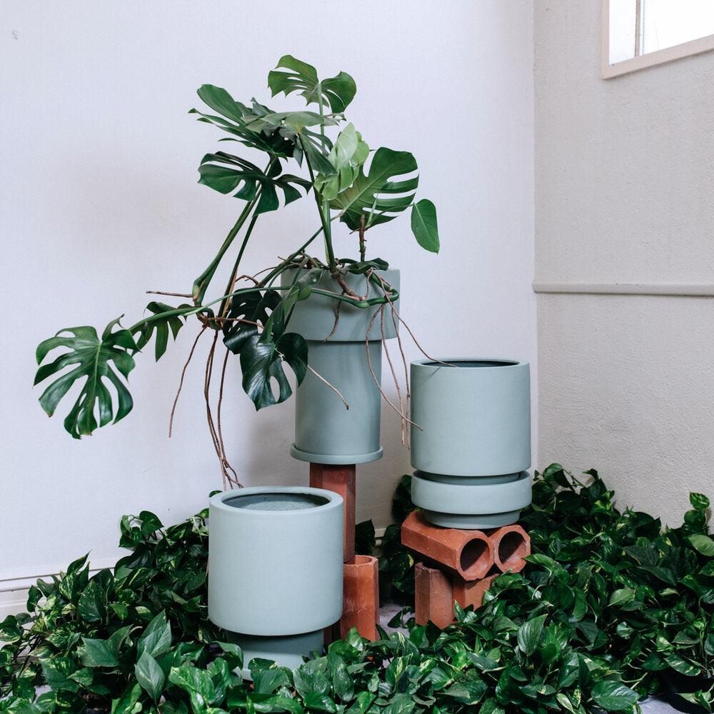 Low Tower Planter by The Plant Society x Capra Designs- Totem Collection - - THE PLANT SOCIETY