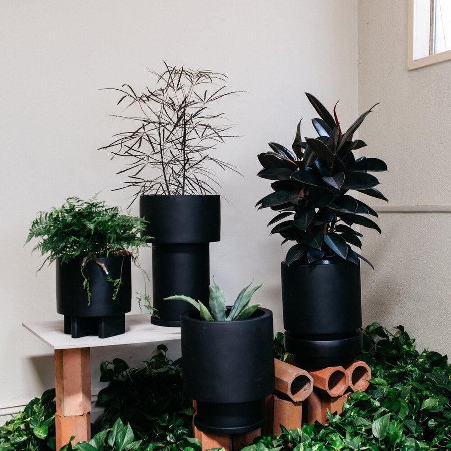 Low Tower Planter by The Plant Society x Capra Designs- Totem Collection - - THE PLANT SOCIETY