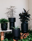 Totem planters black  by The Plant Society
