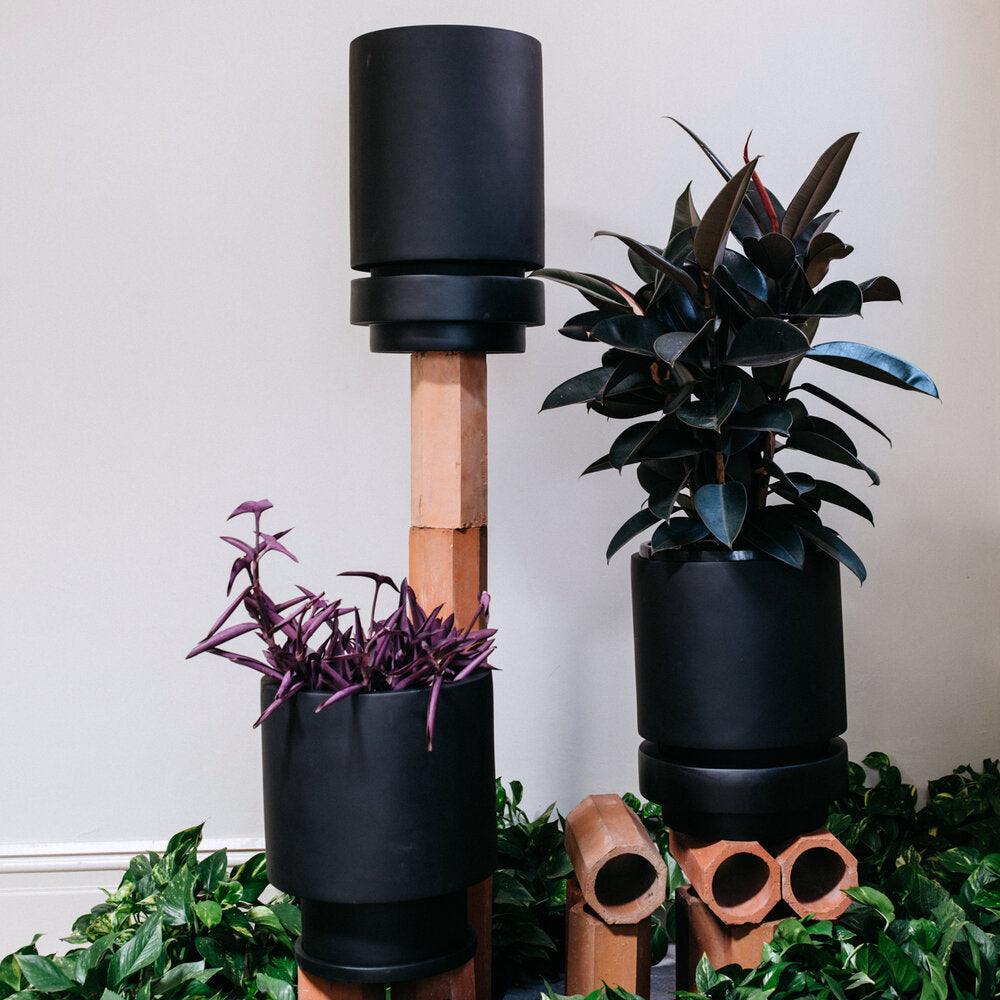 Low Tower Planter by The Plant Society x Capra Designs- Totem Collection - - THE PLANT SOCIETY