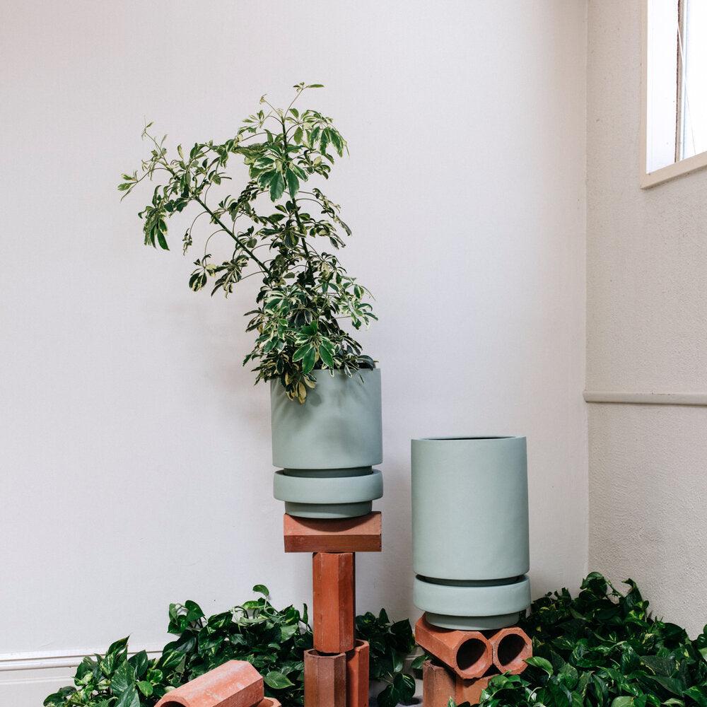 Low Pier Planter by The Plant Society x Capra Designs- Totem Collection - - THE PLANT SOCIETY