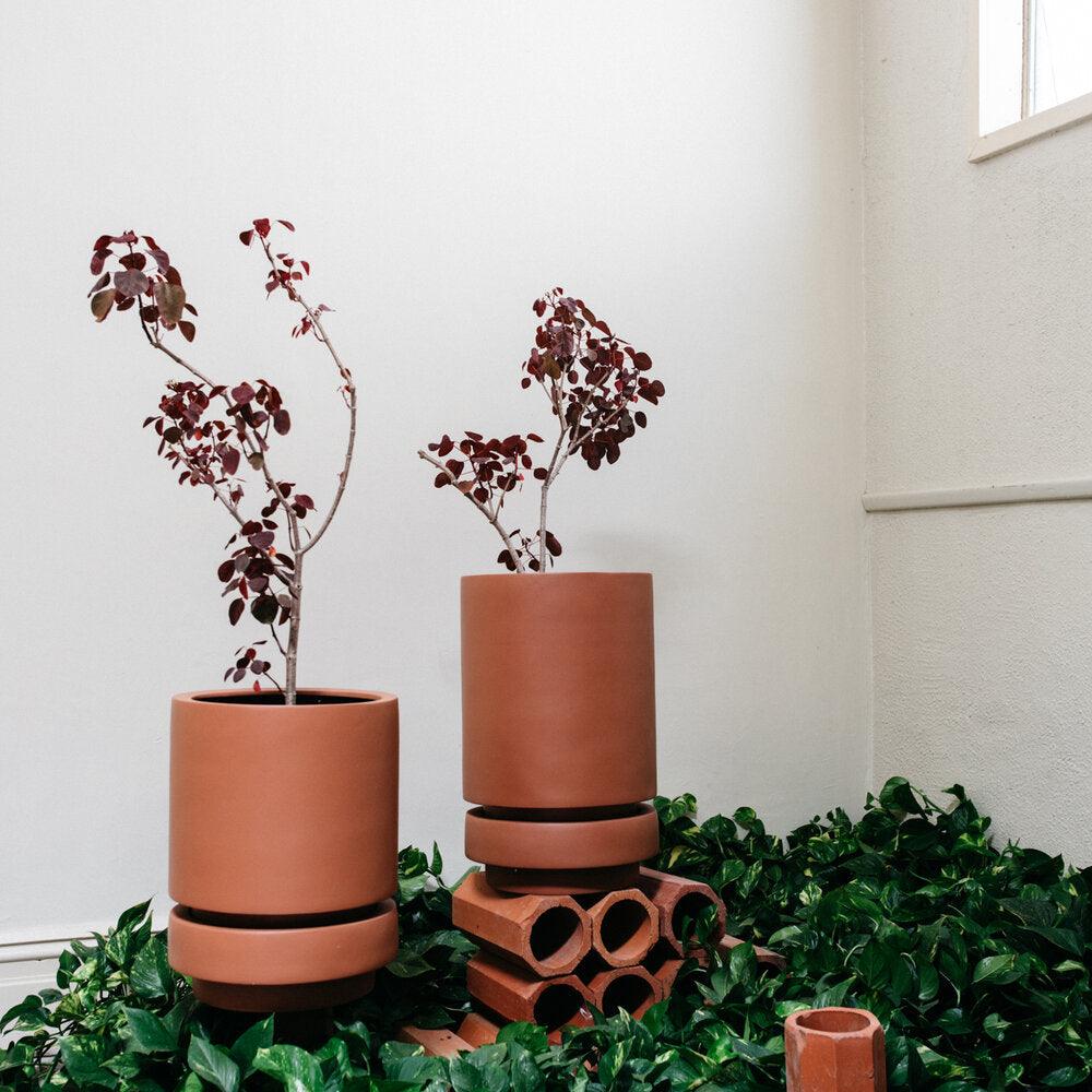 Low Pier Planter by The Plant Society x Capra Designs- Totem Collection - - THE PLANT SOCIETY