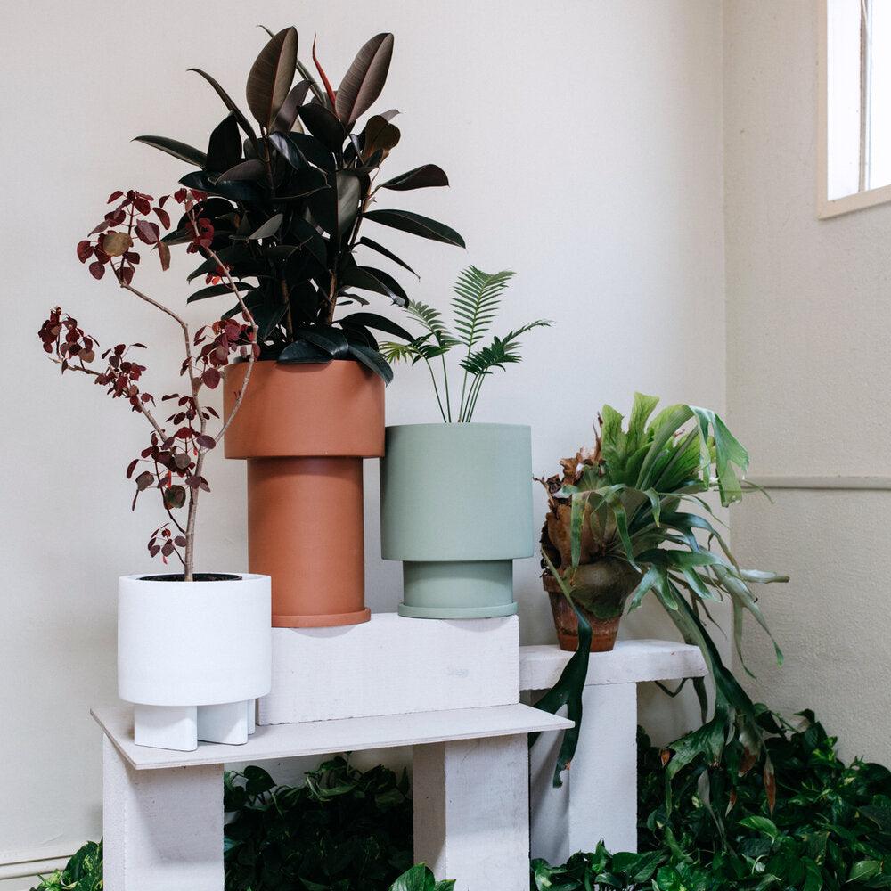 Low Tower Planter by The Plant Society x Capra Designs- Totem Collection - - THE PLANT SOCIETY