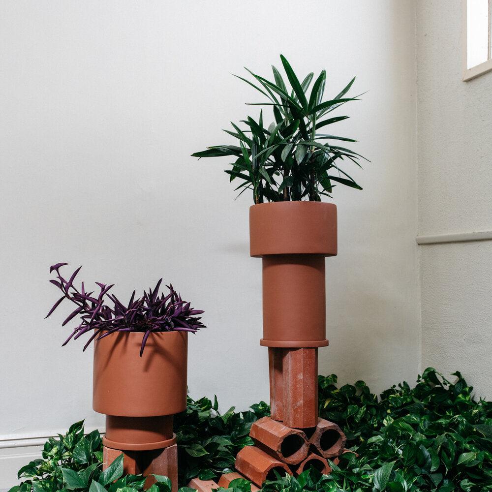 Low Tower Planter by The Plant Society x Capra Designs- Totem Collection - - THE PLANT SOCIETY