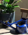haws blue watering can with peace lilly