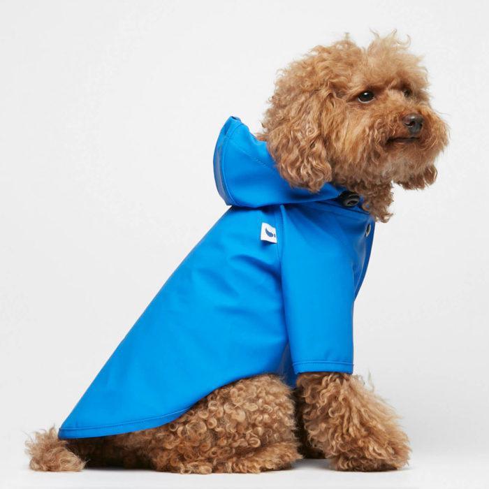 Sarah Dog Raincoat in Plain French Blue by The Painter's Wife - THE PLANT SOCIETY