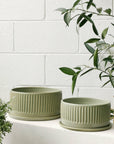 Sage Fluted Planter by Arcadia Scott - THE PLANT SOCIETY