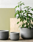 Gardeners Planter - Cement Grey - THE PLANT SOCIETY
