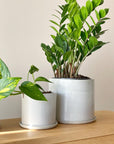 Grey Minimalist Planter by Arcadia Scott