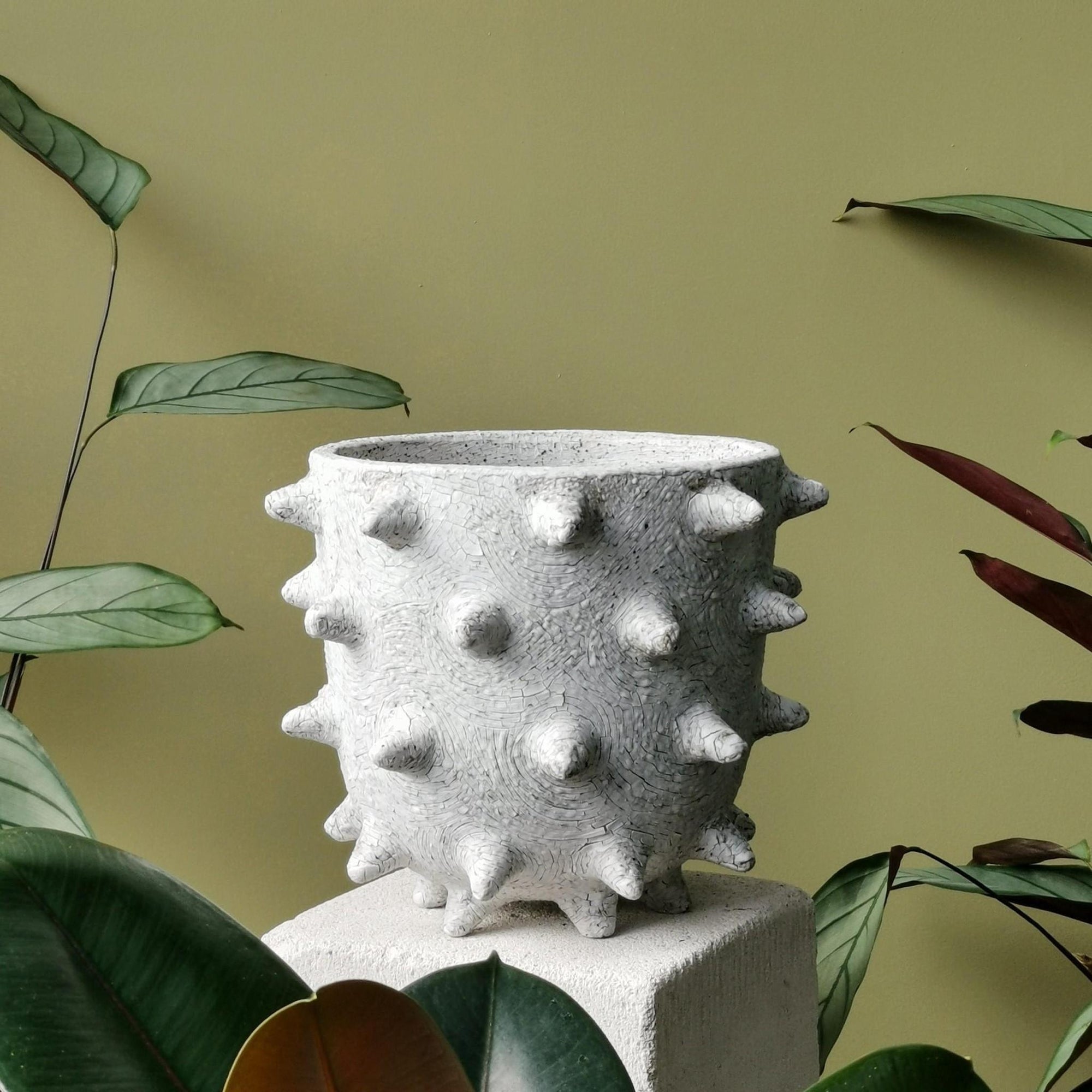 Extra Large Spike Planter by Buzzby &amp; Fang - THE PLANT SOCIETY