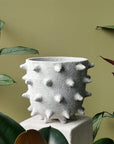 Extra Large Spike Planter by Buzzby & Fang - THE PLANT SOCIETY