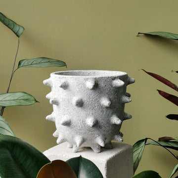 Extra Large Spike Planter by Buzzby & Fang - THE PLANT SOCIETY