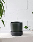 Cora Planter by The Plant Society in Slate - THE PLANT SOCIETY