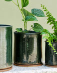 Moody Green Bench Planter by Jenn Johnston - THE PLANT SOCIETY