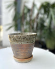 Speckled Iron Wood Fired Planter by Sandra Bowkett